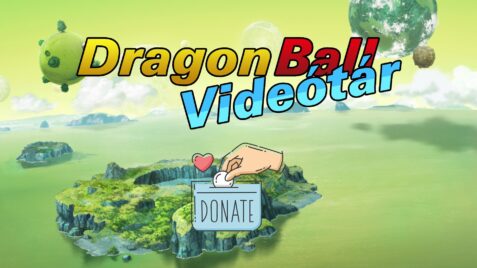 A videótár jelenlegi helyzete
